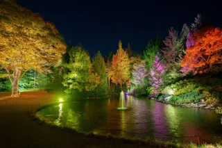 【仙台ロイヤルパークホテル】ジャズナイト×ガーデンライトアップ