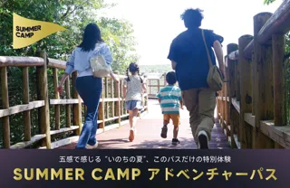 【アドベンチャーワールド】 夏ならではの特別を、今だけの冒険パス　パークの魅力をぎゅっと詰め込んだ体験がまとめてできる特別なチケット！「SUMMER CAMP アドベンチャーパス」期間限定販売