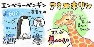 ADVENTURE WORLD SUMMER CAMP ２０２５　「さかなのおにいさん かわちゃん」と共創するコンテンツ