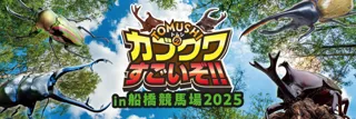 世界のカブトムシ・クワガタムシが大集合!!「TOMUSHI のカブクワすごいぞ!!in 船橋競馬場2025」