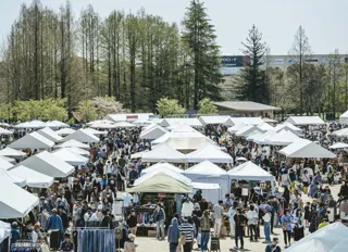 約150店舗が軒を連ねる関西最大級のヴィンテージ・アンティーク特化イベント『Vintage Market -万博 蚤の市-』万博記念公園にて10/24(金）～26(日）開催。