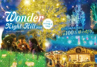 【10/31 OPEN】約100万球のイルミネーション「Wonder Night Hill 2025」【ハーベストの丘】