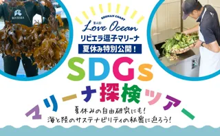 夏休み自由研究に最適｜マリーナとしてアジア初の「ブルーフラッグ」リビエラ逗子マリーナで“海のSDGs”を体験！環境の意識が高まる今、「SDGsマリーナ探検ツアー」を湘南・逗子で8/2・8/22に開催