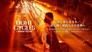 京都府立植物園の幻想的なアートナイトイベント 「LIGHT CYCLES KYOTO（ライトサイクル キョウト）」 開催決定　2025年5月24日（土）開演