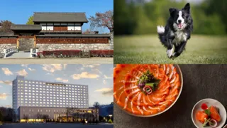 真田家ゆかりの地・紅葉の長野松代を楽しむ女子旅におすすめの、選べる多彩なステイプランを提案【メルキュール長野松代リゾート&スパ】