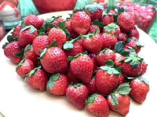 イビススタイルズ東京ベイ STREATSから『至福のスイーツ』をお届け！2026年朝食フェア第1弾『フレッシュいちご』で楽しむハッピーステイ