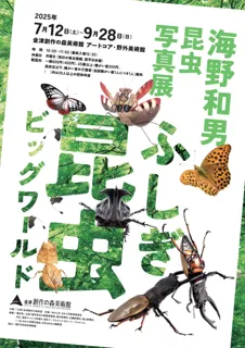 自然が見せる“昆虫の小宇宙”──海野和男昆虫写真展が金津創作の森で初開催！