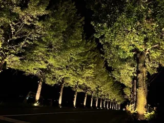 あわら温泉街に幻想的な夜が訪れる──「よるもうで」社会実験スタート！