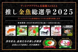 金魚界のスターは誰だ!? 金魚たちの美の祭典 アートアクアリウム美術館 GINZA「第3回 推し金魚総選挙2025」開催