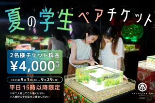 9月は“涼と幻想”を学生だけの特別価格で。〈学生ラストサマーキャンペーン〉お得なペアチケットを販売！