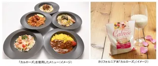 １週間、日替わりで楽しむバランスワンボウルで新しい発見を　期間限定で品川区大崎「雨晴食堂」ランチにカリフォルニア米「カルローズ」メニューが初登場！