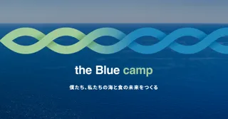 ＜漁港での実体験から、社会に問いかけるレストランの開業まで＞魚が食卓から消える危機を乗り越えるトップシェフと学生による超実践型プログラム「ブルーキャンプ 2025」9月1日より募集開始