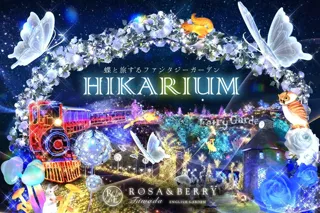 「HIKARIUM2025」関西最大級のイルミネーション開催決定!!