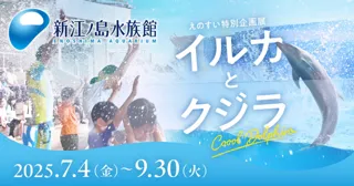 普段とはひと味違うCooolな”えのすい”が楽しめる えのすい特別企画展「イルカとクジラ Coool Dolphin」【特典付き前売り券 好評発売中】