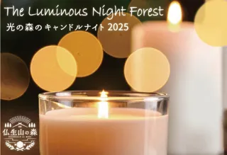 仏生山の森が幻想的に灯る。冬の夜を彩る『光の森のキャンドルナイト2025』開催