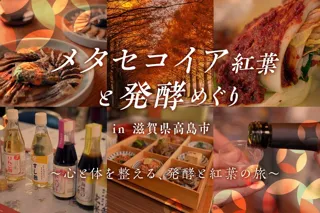 鮮やかな紅葉と発酵文化に触れながら、心と体を整える旅『メタセコイア紅葉と発酵めぐり in 滋賀県高島市』12月9日(火)開催！