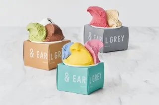 アールグレイ専門店が作る、「香るティージェラート」を10月31日（金）～11月4日（火）まで「日本全国グルメ博inサンドーム福井2025」にて販売！