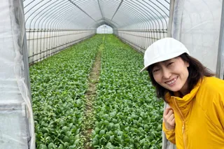 利用者が有機野菜の生産状況を確認 生産者と消費者の“二者認証” 前橋市で11月12日(水)〔群馬〕