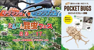つくるんです(R)の図鑑付き3Dウッドパズル『ポケットバグズ』シリーズを特別価格で「小学館の図鑑NEO たんけん昆虫フェス」で全種類販売