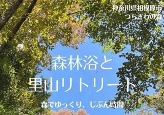 【相模原市】森でゆっくり、じぶん時間 「森林浴と里山リトリート」の参加者を募集します！