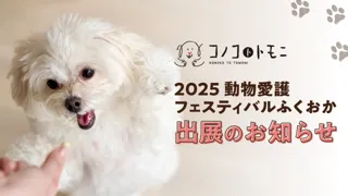 福岡県主催《2025動物愛護フェスティバルふくおか》にペットフードブランド「コノコトトモニ」が初出展!イベント限定チャリティーグッズを販売【株式会社ゆずず】