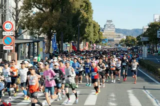「世界遺産姫路城マラソン2026」ランナー・ボランティアを大募集！