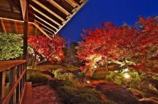 好古園「紅葉会」を開催します