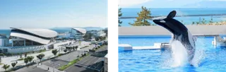 【神戸須磨シーワールド】兵庫県神戸市のふるさと納税返礼品に「神戸須磨シーワールド」の入館チケットが登場