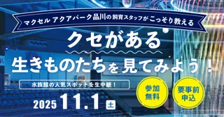小学生対象 「クセがある生きものたちを見てみよう!」参加者募集