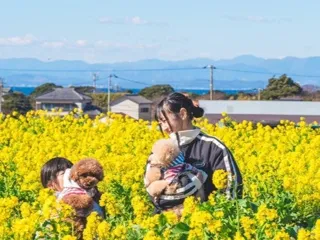 【横須賀・ソレイユの丘】愛犬と贅沢な「冬チル」体験！黄金色の菜の花畑の絶景と焚火で心も体も温まる、横須賀市最大級のドッグイベントを1月24日(土)・25日(日)に開催。