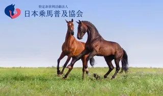 SDGs AICHI EXPO 2025に出展｜乗馬の普及で引退競走馬のセカンドキャリアの持続可能性を考える！