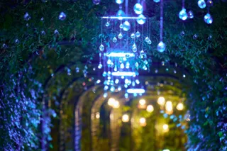 【冬の神秘的な自然とクリスマスをテーマにイルミネーションが新たに出現】「Moonlight Rose Garden2025」灯りと光のまほうにかかる時間（とき）第2部開催