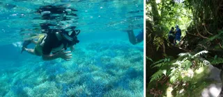 【夏休みの過ごし方】世界遺産『屋久島』冒険ツアー開催！