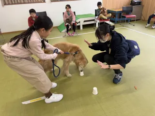 【選べる２日程！こどもの休日の過ごし方】 救助犬トレーナー体験スクール