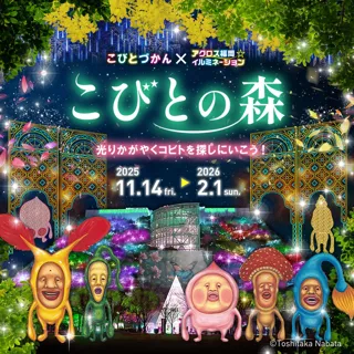 「こびとづかん」初のイルミネーション開催！ アクロス福岡が"光る「こびとの森」”に変身！