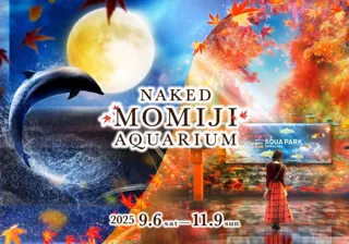 マクセル アクアパーク品川×ネイキッド 昨秋の大人気イベント『MOMIJI AQUARIUM』がバージョンアップ