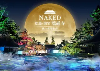 国宝・瑞巌寺と紅葉の美をネイキッドの光のアートで体感する秋の夜間参拝