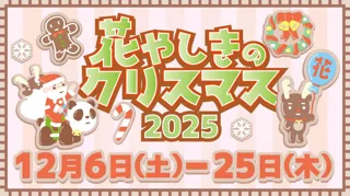 日本最古の遊園地がお届けするクリスマスイベント「花やしきのクリスマス2025」開催！！