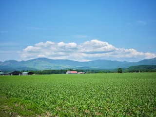 北海道上士幌町×JALガクツナ プロジェクト 短期インターンシップ　募集開始