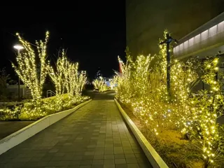アトアで過ごす夏、もっと遊べる。営業時間を特別に延長！
