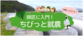 《福井県福井市》交通費・宿泊費助成！！農業の面白さ・奥深さを体感！ホウレンソウ農家のもとで”ちびっと”就農してみませんか。『３日間（９/１８～２０）の就農体験』参加者募集中！