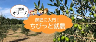 【交通費・宿泊費の助成あり】福井でオリーブ！？果実からオリーブオイルができる感動を体感！「１０/３０～１１/１の就農体験」参加者募集中！