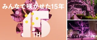 今年で開催15周年！地域で灯す“桜色の光” 使用済み食用油を活用したサステナブルなイルミネーション『目黒川みんなのイルミネーション2025』
