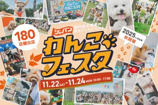 「ジャパンわんこフェスタ2025 秋 in お台場」タイムテーブル公開！テーマは『わんわん運動会』！写真撮影や交流を思い切り楽しもう！