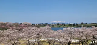 東北風土マラソン2026 来年4/19に開催決定 & 本日よりエントリー開始