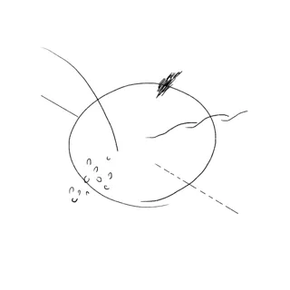 風景と食設計室ホーによる虎ノ門のかつての風景と足元の世界を手がかりに、ひと粒から広がる物語を紡ぐインスタレーション『帰り道、今夜の夕食について考えながら』展開催