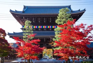 通常非公開　京都・くろ谷 金戒光明寺　秋の特別拝観　2025年11月15日(土)～12月7日(日)　開催