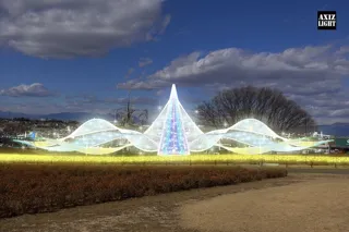 マリーゴールドの丘 イルミネーション大型リニューアル!15万球の煌めき装飾は11月22日から!