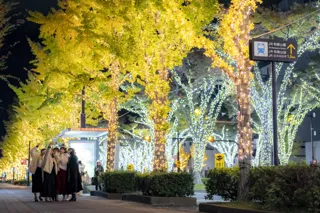 和歌山市の夜が輝きだす！130万球の光と500機のドローンが街と夜空を彩るけやきライトパレード＆WAKAYAMA LIGHTS 2025！