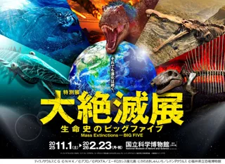 「大絶滅展」いよいよ、今週末11月1日(土)開幕!●会期中のイベント&キャンペーン実施決定!●話題の「すみっコぐらし」コラボグッズ追加情報●絶滅生物がモフモフ化!ぬいぐるみ7種追加!
